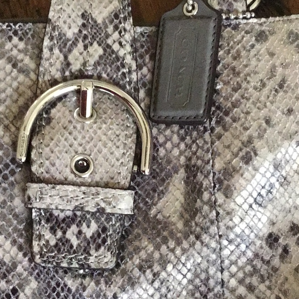 Coach Snakeskin Pattern Bag - Gray and Black